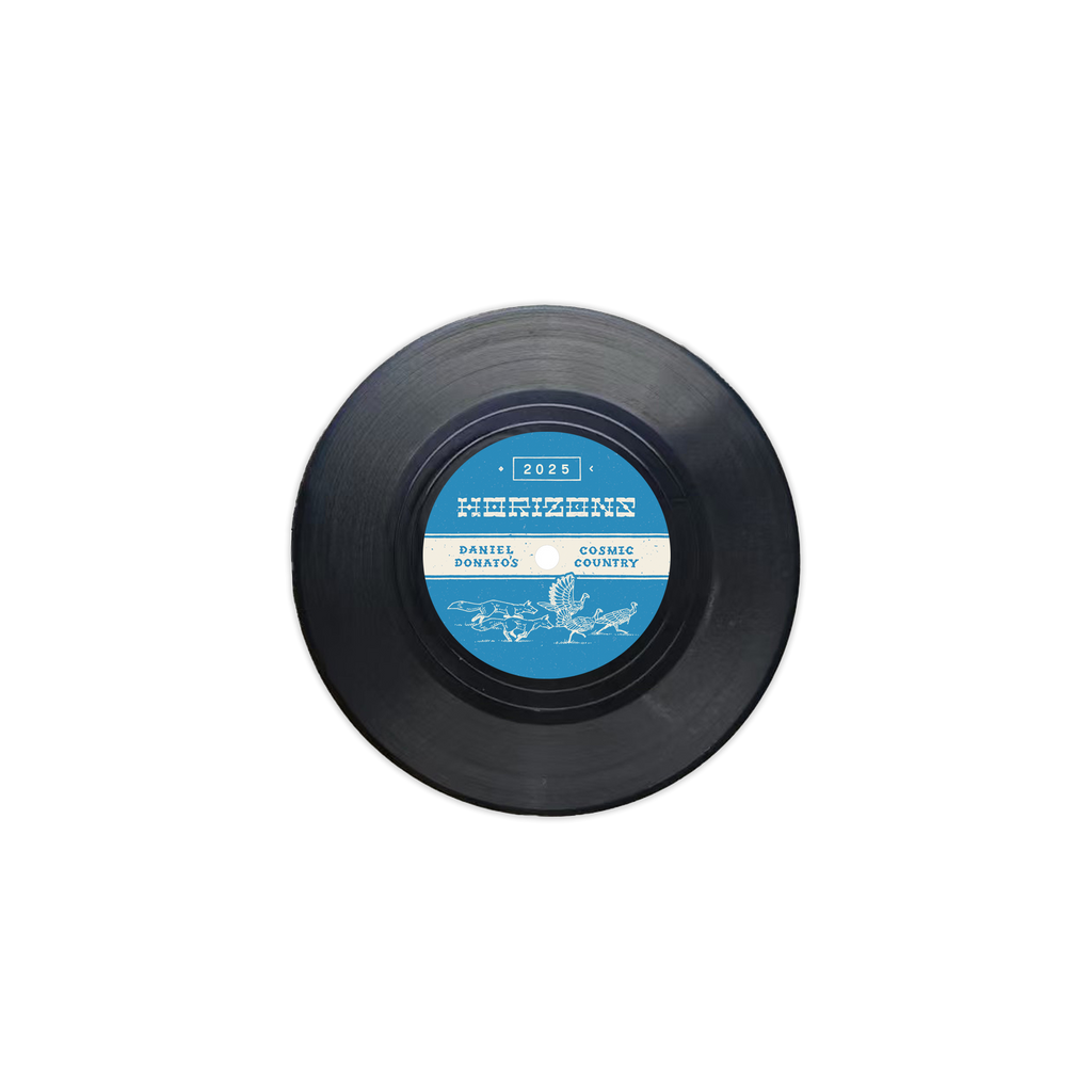 Horizons Vinyl Record Coaster